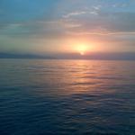 La Gustosa Sas Di Arrigo Salvatore & C