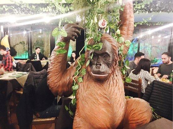 Gorilla Theme Pub