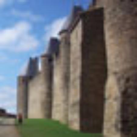 Un Punto Macrobiotico