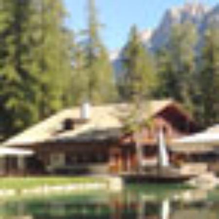 Pizzeria Trattoria l'Oasi