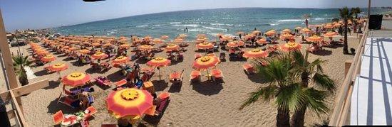 Ristorante del Lido Zelig Beach