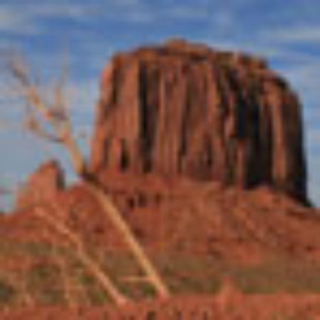 Pasticceria Bar Gelateria le Millevoglie