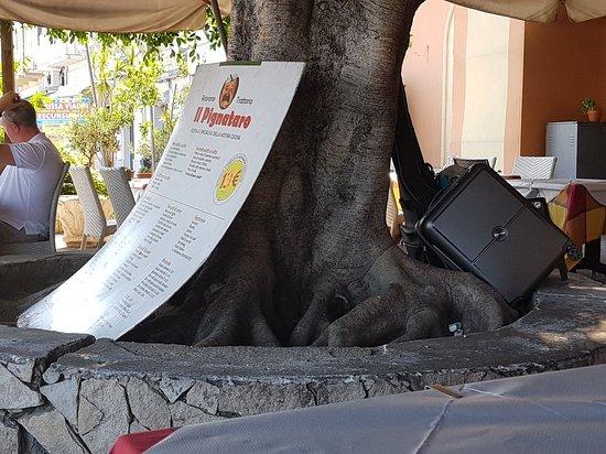 Il Pignataro Trattoria Ristorante