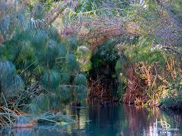 Réserve naturelle du fleuve de Ciane