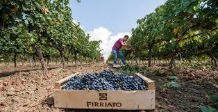 Firriato Winery