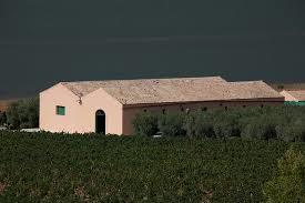 Exploitation viticole Planeta Ulmo