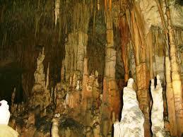 Riserva naturale integrale Grotta Monello