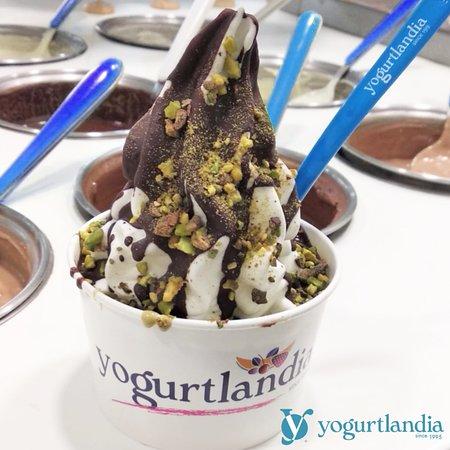 Yogurtlandia
