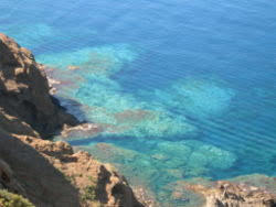 Marine Protected Area of Ustica Island