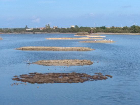 Riserva Naturale Saline di Priolo