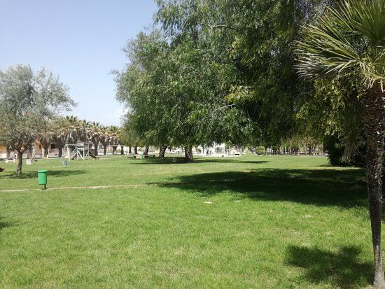 Parco Urbano Falcone