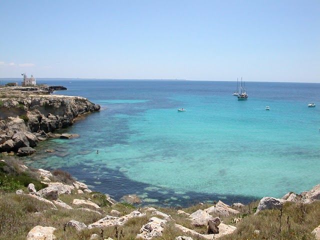 Île de Favignana