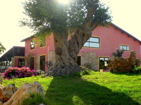 Trattoria Donna Maria