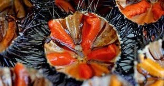 Ristorante Pizzeria Sunshine