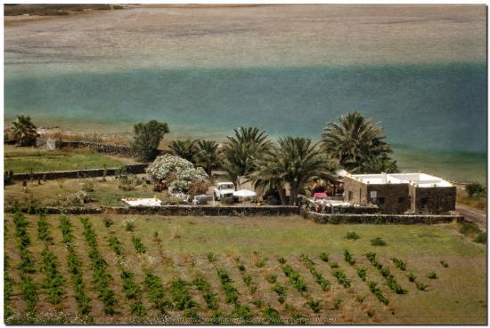 Azienda agricola Marai