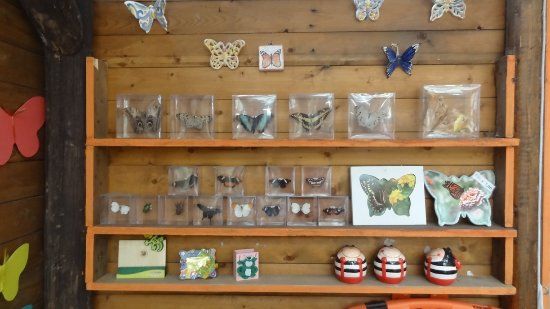 Maison des papillons