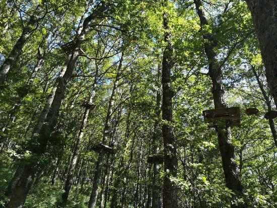 Activité ludique Nebrodi Adventure Park