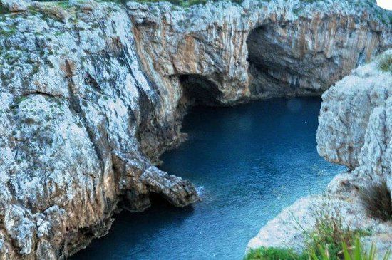 Forre laviche del Simeto