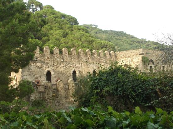 Église Sant'Andrea della Valle