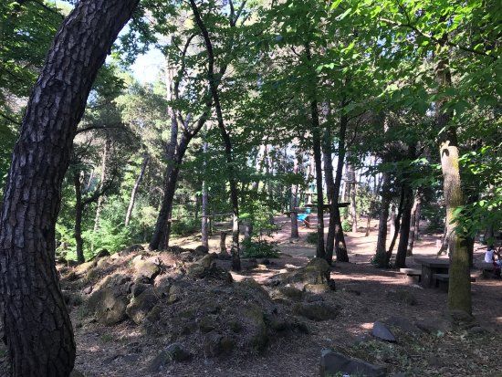 Parc aventure Parcallario Adventure Park