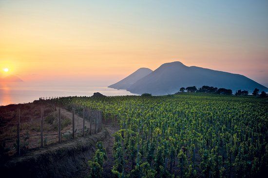 Tenuta di Castellaro