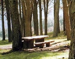 Area Attrezzata Lago Di Piana