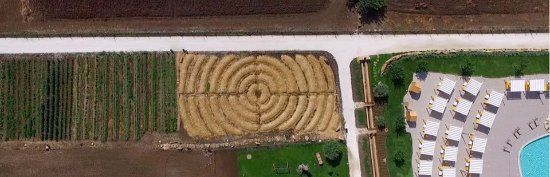 Ristorante Sinergico